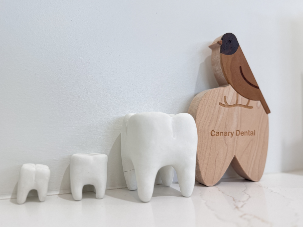 Canary Dental smile gallery image 3